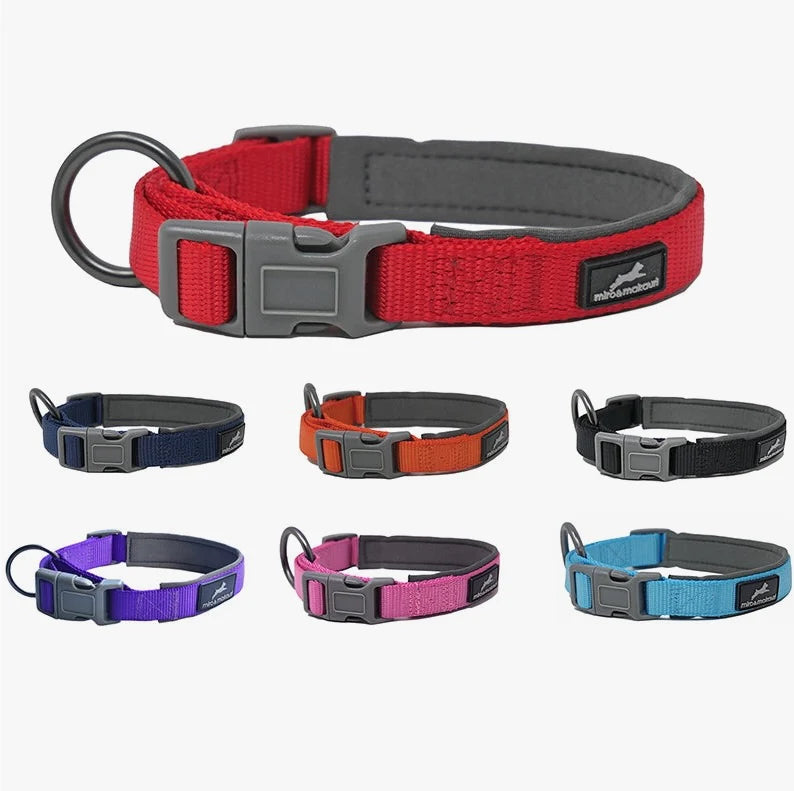 Miro & Makauri Padded Clasp Dog Collar