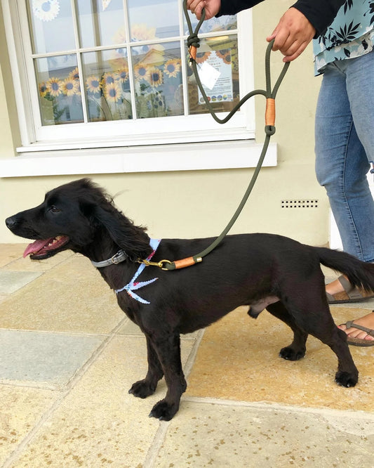 Dual Handle Rope Lead - Hunter Green