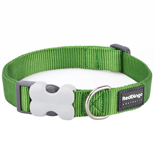 Red Dingo Dog Collar Green