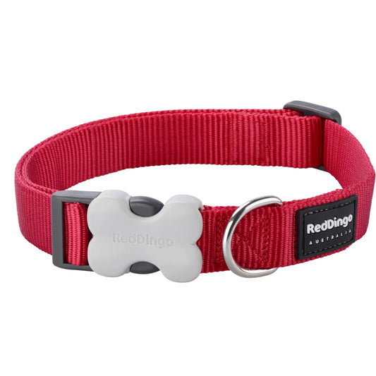 Red Dingo Dog Collar Red