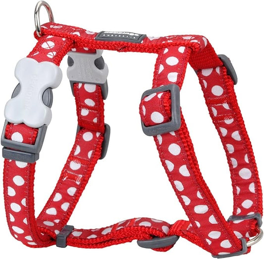 Red Dingo White Spots on Red Harness