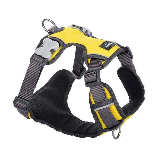 Red Dingo Padded Yellow HarnessRed Dingo