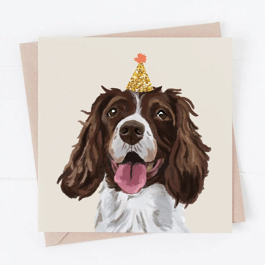 Springer Spaniel Card