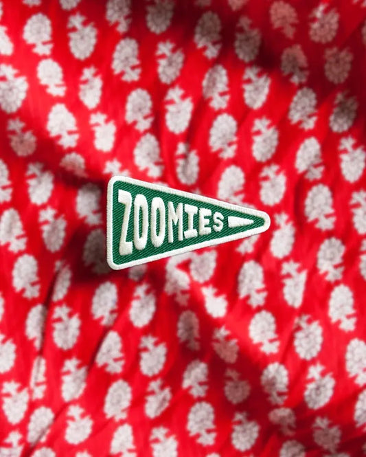 ‘Zoomies' Merit Badge