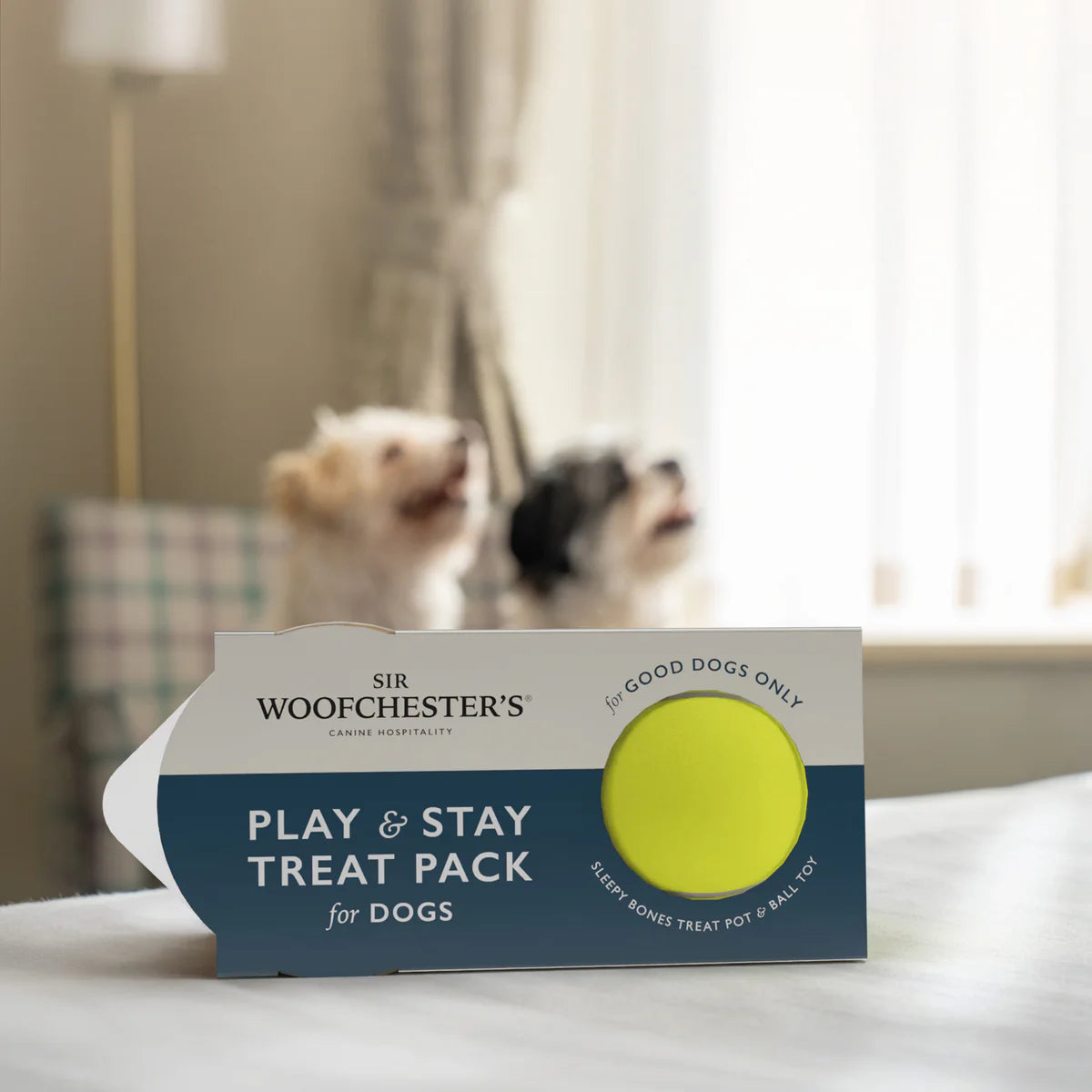 Play & Stay Treat Pack