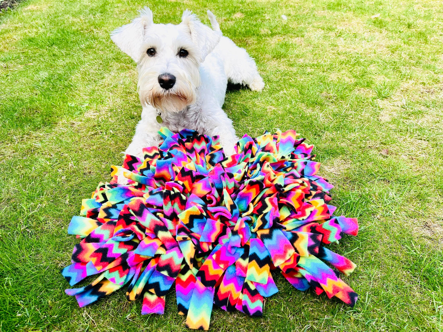 Snuffle Mat