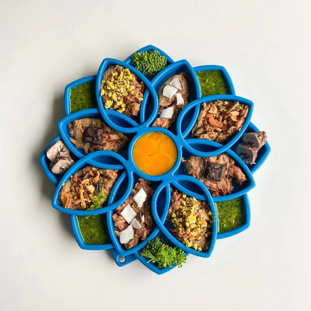 Mandala Design Enrichment Tray