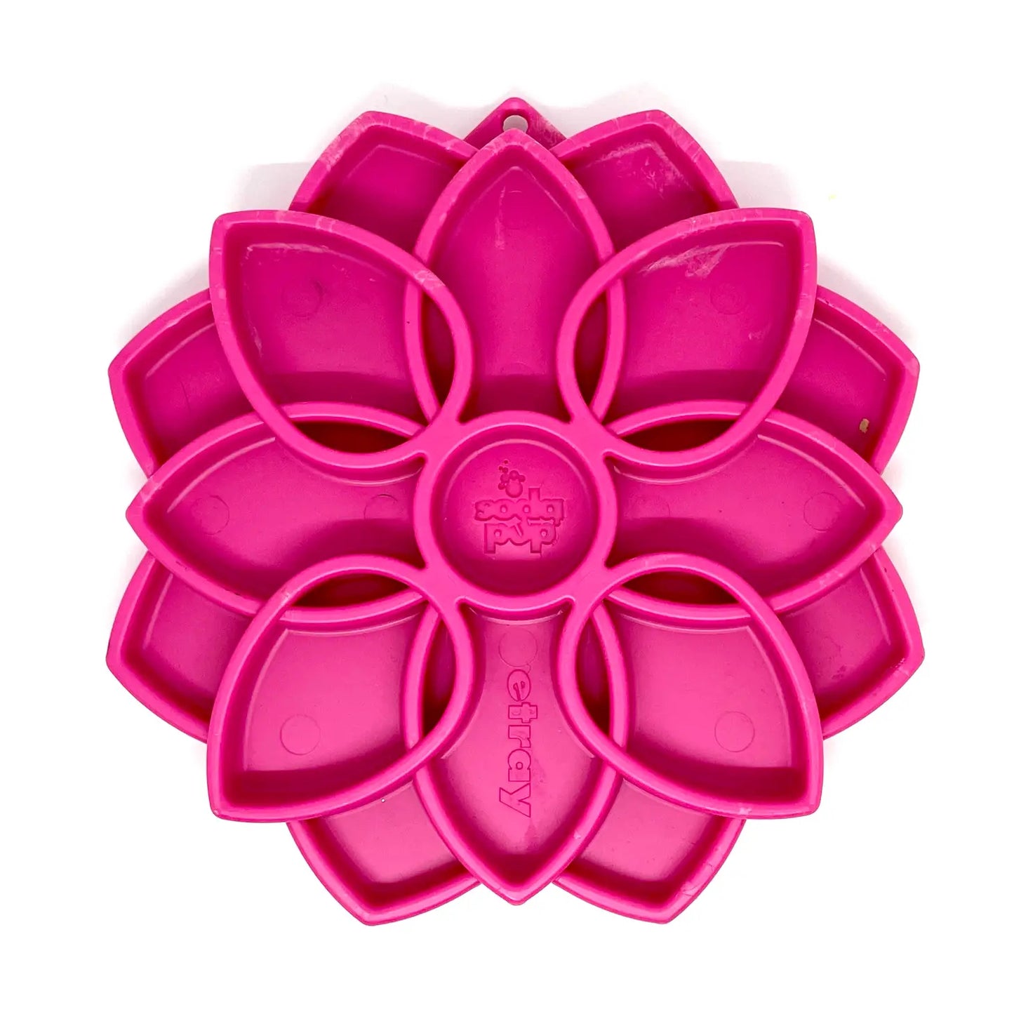 Mandala Design Enrichment Tray