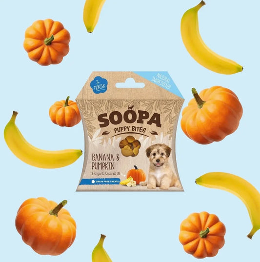 Banana & Pumpkin Puppy Treats