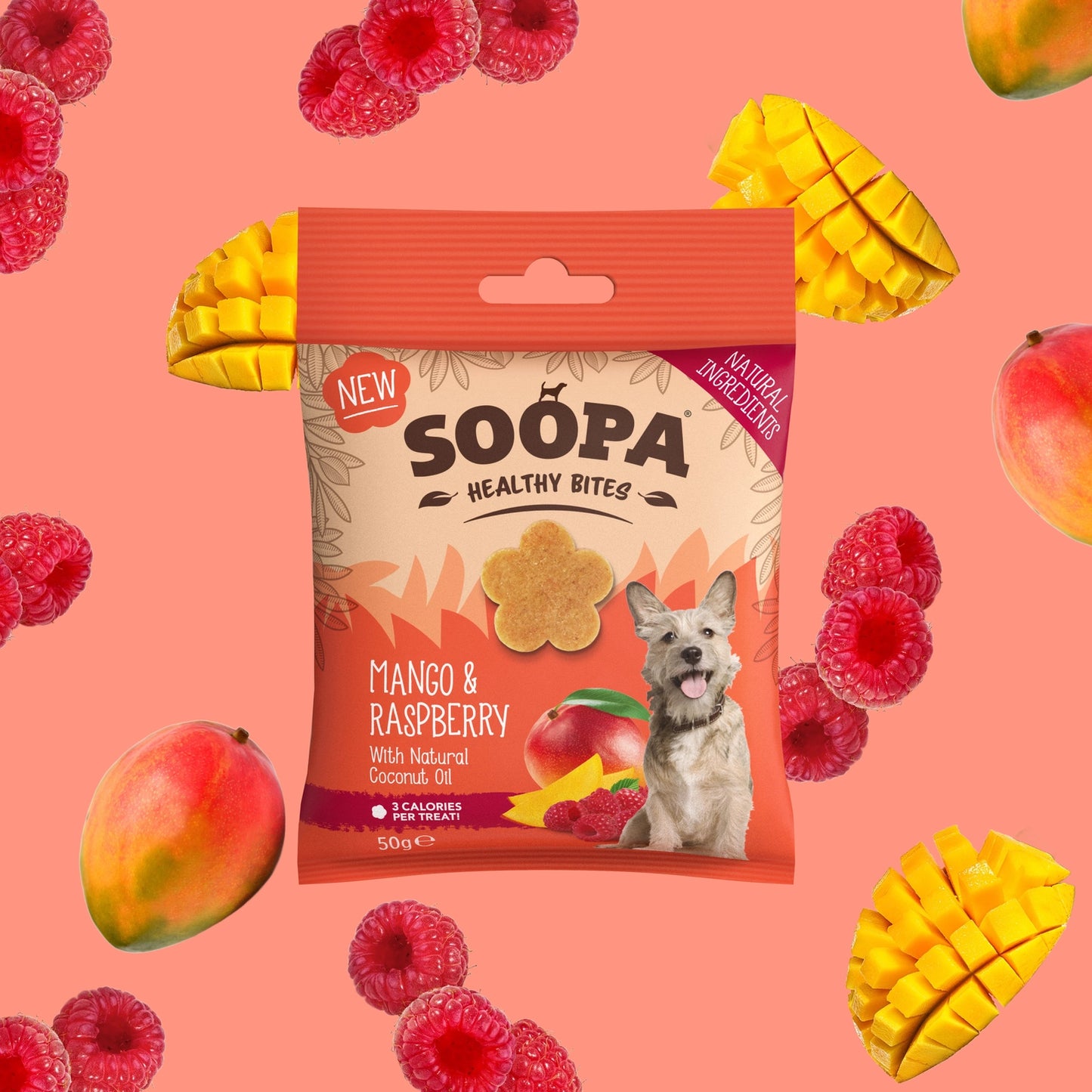 Soopa Mango & Raspberry Bites