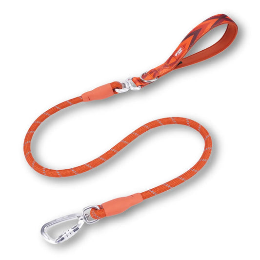 Twiggy Tags Rope Lead - Dawn