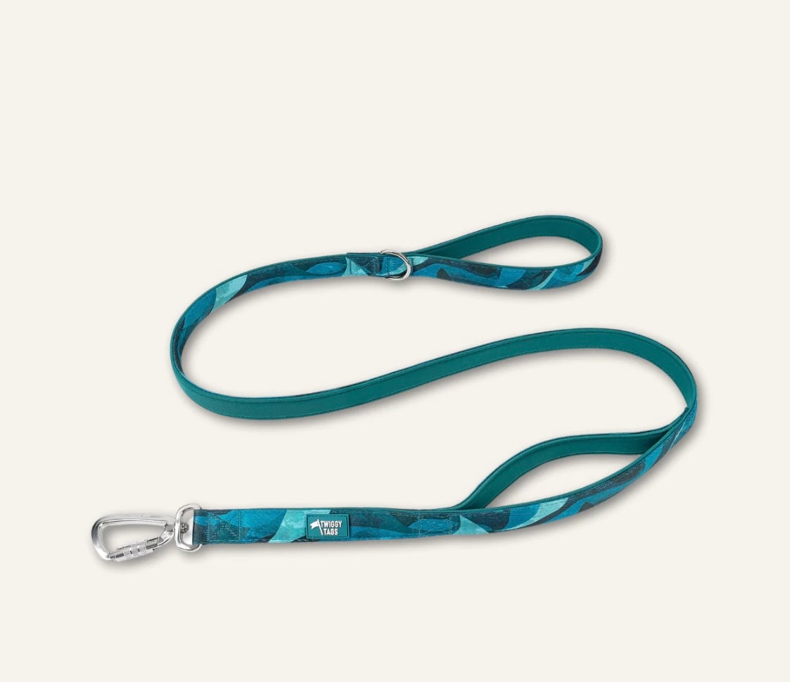 Twiggy Tags Close Control Lead - Lagoon