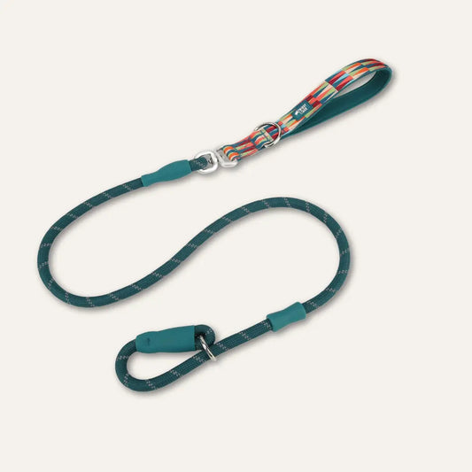 Twiggy Tags Slip Lead