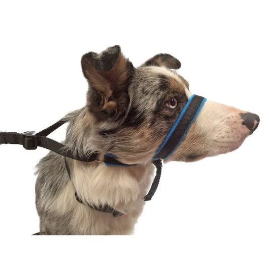 SWAG Fleece Headcollar